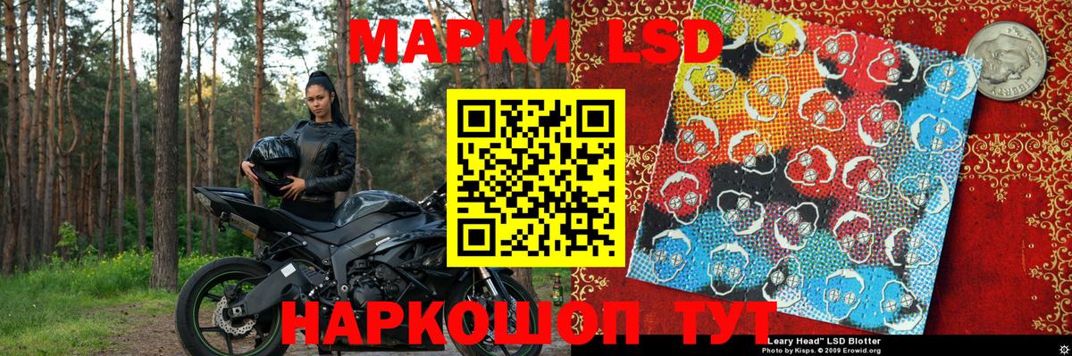 Псилоцибиновые грибы Владикавказ