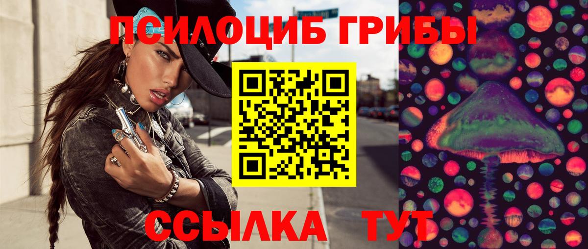 Владикавказ  наркотики  Вход с VPN  Псилоцибиновые грибы GOLDEN TEACHER 