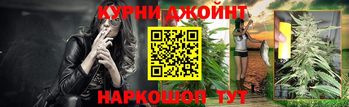 Конопля сатива  Вход с VPN  Конопля THC 21%  Владикавказ 